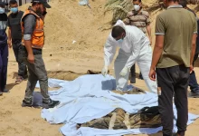 Nearly 400 Decomposing Bodies Uncovered