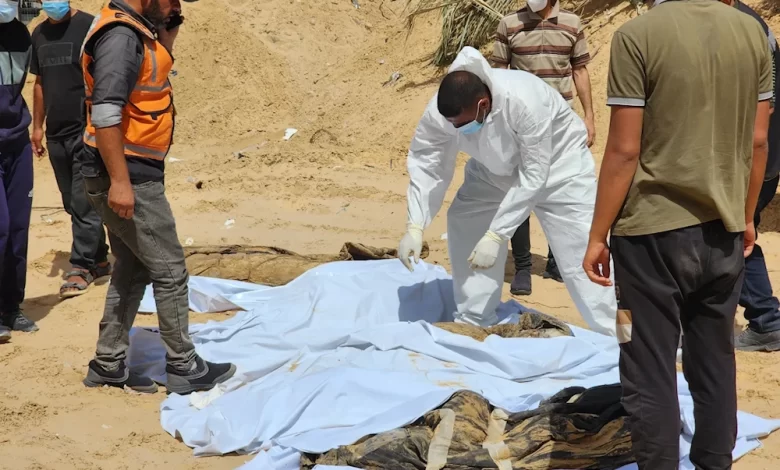 Nearly 400 Decomposing Bodies Uncovered