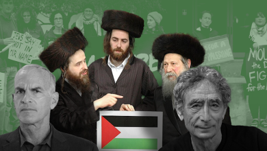 The Jewish movement for Palestine