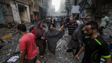 270 days of displacement and extermination carried out by Israel in the Gaza Strip