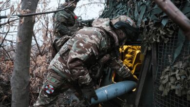 Russian army liberates Petrovka and Ilyinka towns in Donetsk