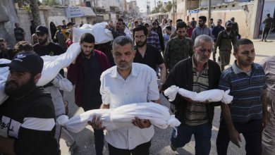 مجلس أوروبا: ما يجري في غزة إبادة جماعية ومأساة هائلة