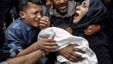 Le bilan de l'agression israélienne contre Gaza s'élève à 53 901 martyrs