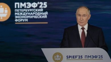 Putin reaffirms support for Iran's peaceful use of nuclear energy