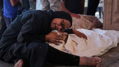 عبد العاطي: مصر تجري اتصالات يومية مع أمريكا وقطر لوقف النار في غزة "فوراً"