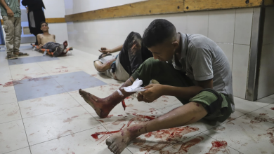 Les forces israéliennes commettent un massacre dans le nord de Gaza