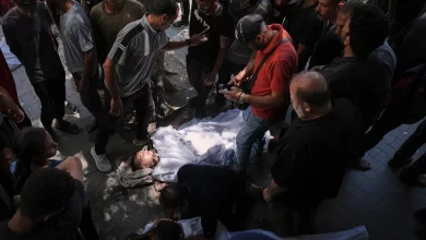 Martyrs in ongoing Israeli attacks amid mass starvation in Gaza
