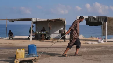 Over 115 dead from starvation