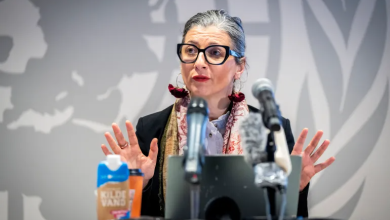 UN official compares Israeli actions in Gaza to Nazi crimes