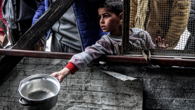 Plus de 100 organisations mondiales appellent à l'ouverture des points de passage à Gaza
