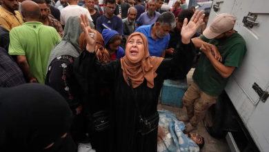 LÉgypte renouvele son rejet catégorique du déplacement du peuple palestinien