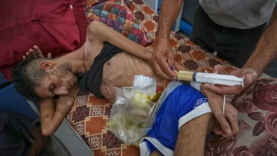 Gaza reports 58 martyrs