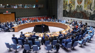 All members of UN Security Council except US say Gaza famine is 'manmade crisis'
