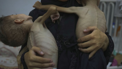 Le bilan des morts dans la bande de Gaza s’élève à 60 430