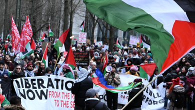 La Belgique va reconnaître officiellement l'État de Palestine lors de l'Assemblée générale del'ONU