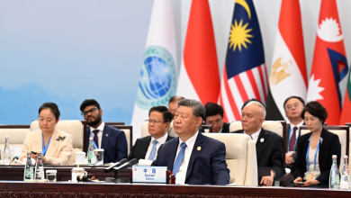 SCO calls for comprehensive ceasefire in Gaza Strip