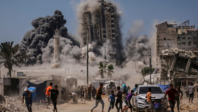 64,368 Palestinians have been killed in Israel's genocidal war in the Gaza Strip