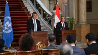 Egypt calls on Israel to accept Witkoff's ceasefire proposal