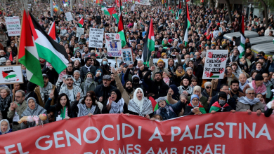 Spanish Prime Minister announces measures to stop genocide in Gaza