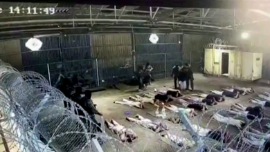 فضحية تعذيب الفلسطينيين في معتقل "سدي تيمان" تطيح بالمدعية العسكرية الإسرائيلية